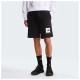 The North Face Ανδρικό σορτς Box NSE Light Regular Shorts